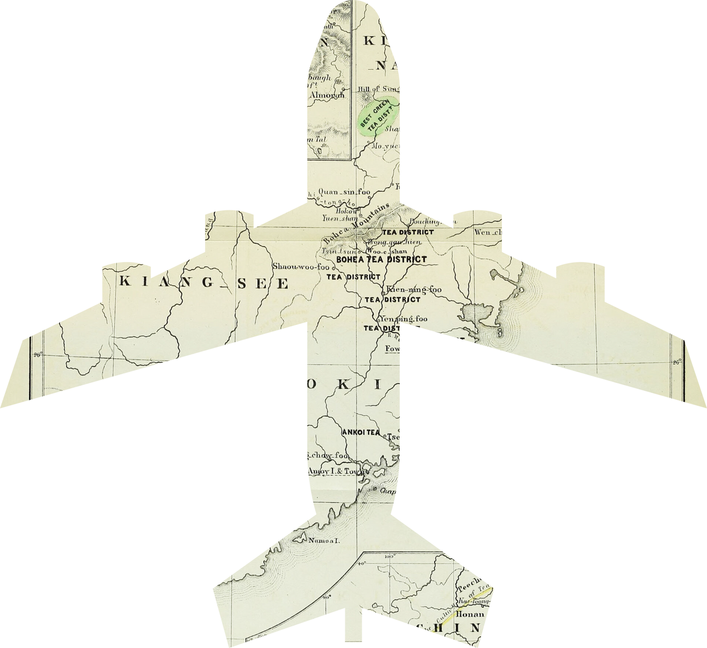 Scanned Weathered Airplane-shaped Map Scrap